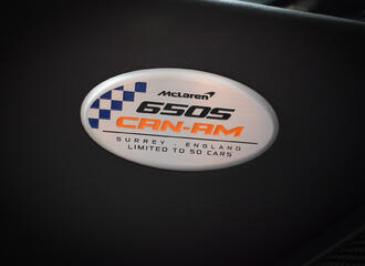 McLaren 650S Can-Am - Lackschutz