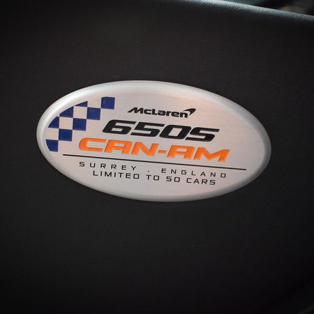 Mclaren 650S Can Am - Lackschutz