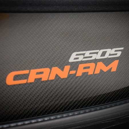 Mclaren 650S Can Am - Lackschutz