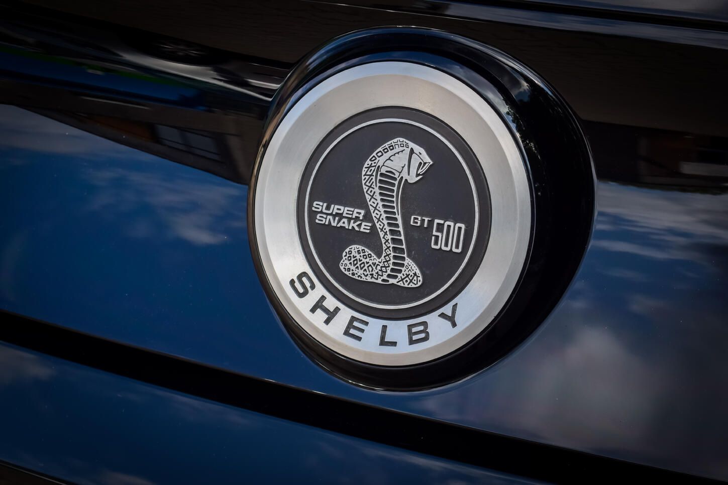 Mustang GT Shelby Super Snake - Lackschutz